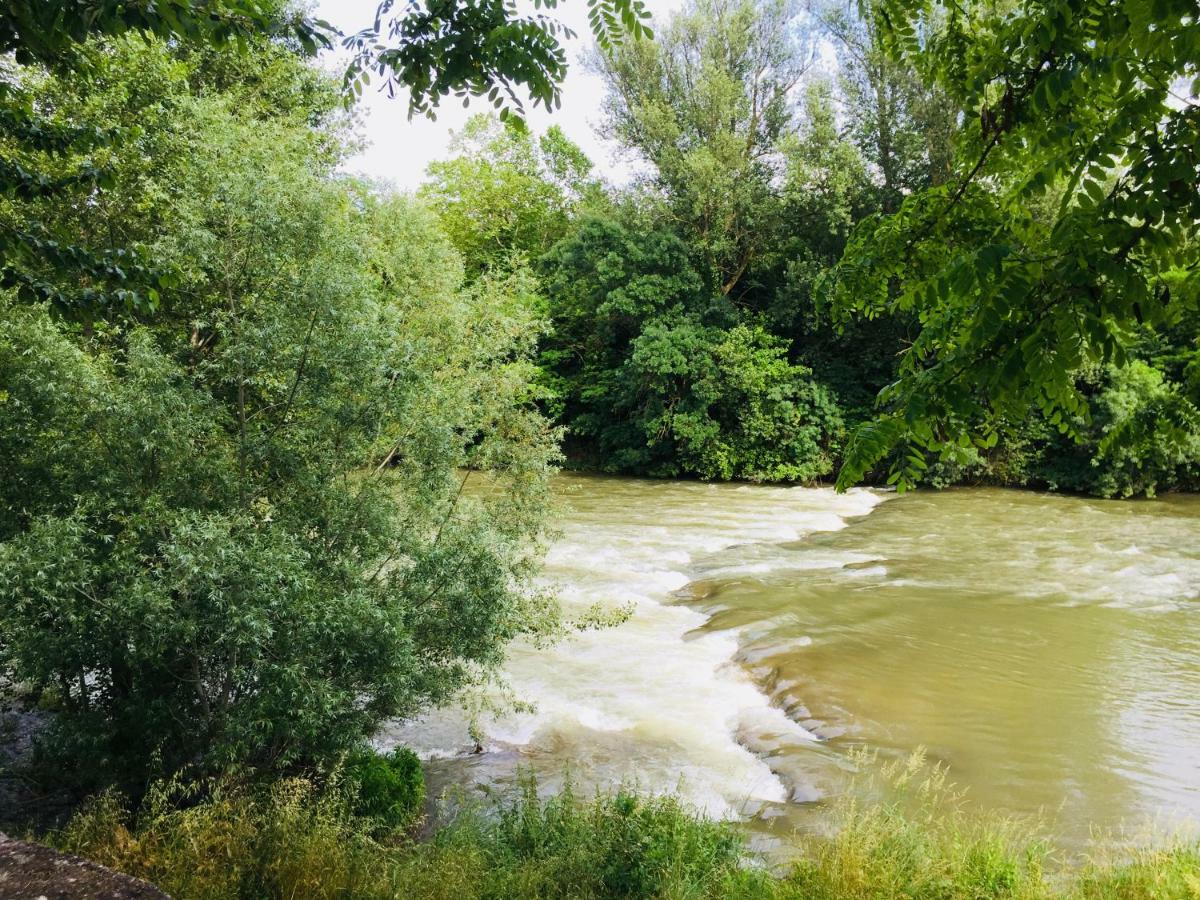 La Maisonnette Carcassonne Dış mekan fotoğraf