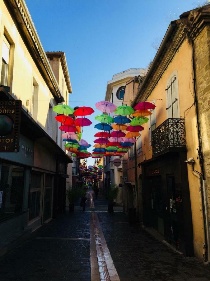 La Maisonnette Carcassonne Dış mekan fotoğraf